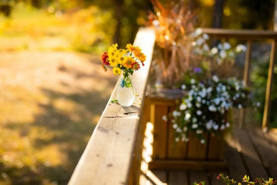 interiorismo-casa-de-campo-barandilla-terraza-flores